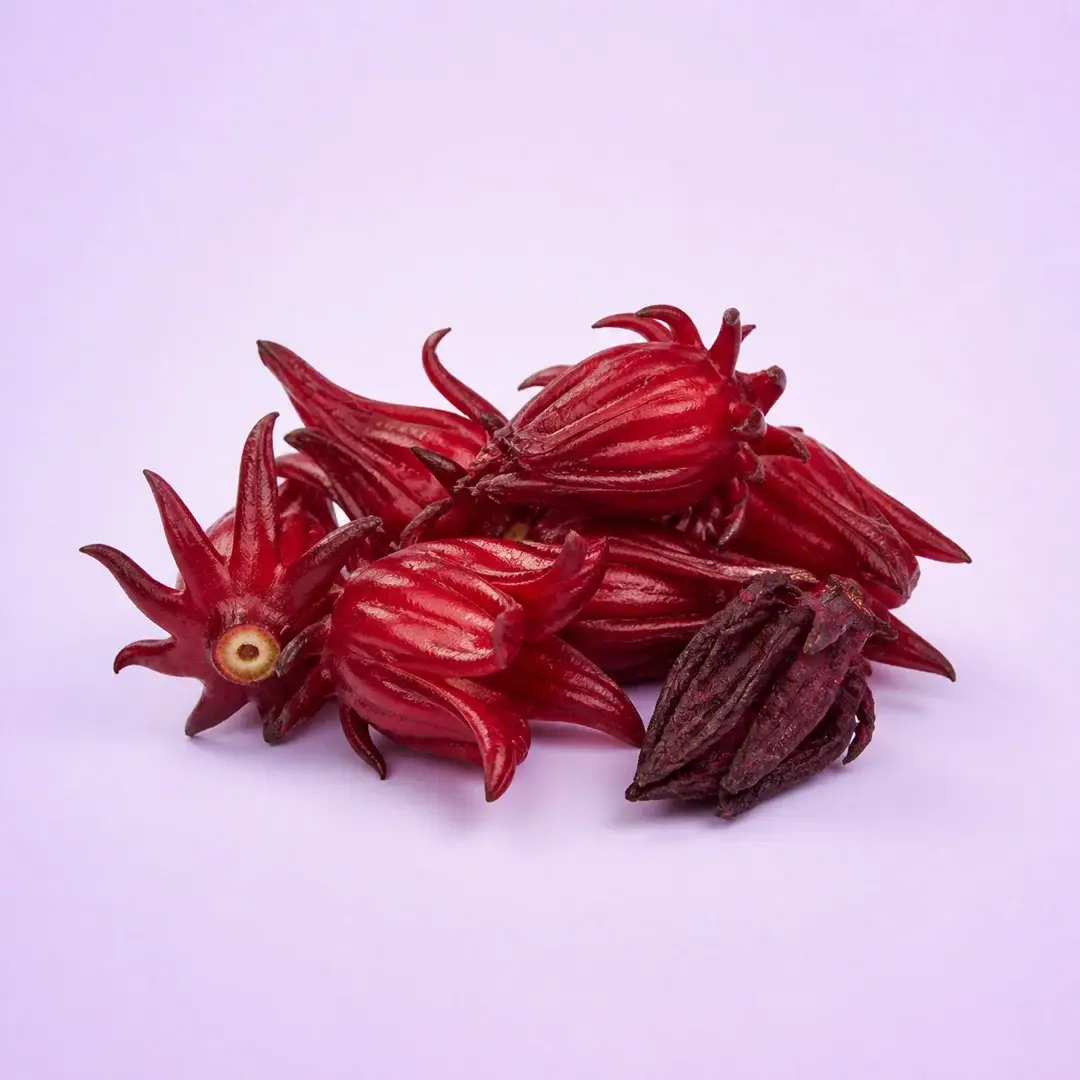 Rosella, Hibiscus sabdariffa, kelopak bunga